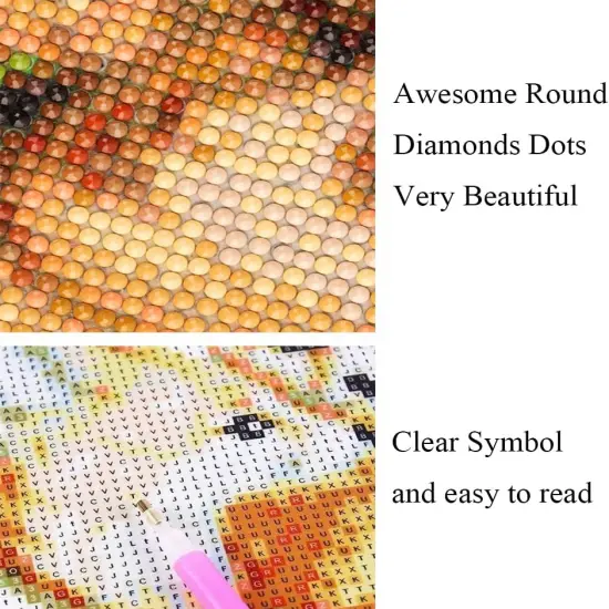 Aurora Diamond Painting Kits for Adults, 5D Diamond Art for Begginers, DIY Diamond Art Kits, Full Round Drill Diamond Paintings for Adults for Home Wall Decor, 12x16in {5}