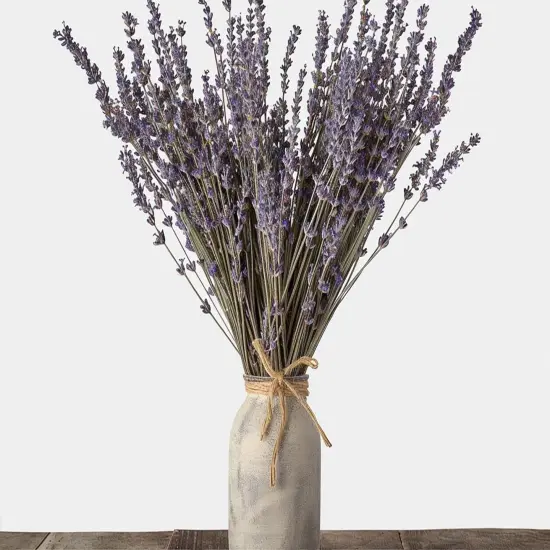 Dried Lavender 2 Bunches 100% Fresh Natural Purple Bouquet Flowers for Bathroom Photo Props Crafts Decoration, 15-17" for Shower Weeding Vase Decor, Home Fragrance(200-220 Stems(100g/3.5oz Total)) {4}