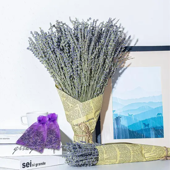Dried Lavender Bundles | Natural Dried Lavender Flowers 2 Bundles Pack 200 Stems Home Fragrance Dry Lavender for Home & Wedding Decoration, Photo Props {1}