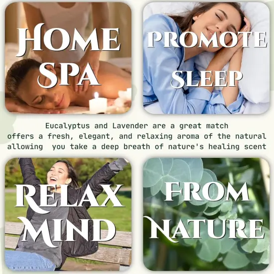 65 Pcs Mix Dried Eucalyptus Stems & Lavender Bundle for Shower, 17" Natural Real Preserved Eucalyptus Leaves Greenery, Lavender for Hanging Shower Plants, Flower Arrangements, Vase Decor {2}