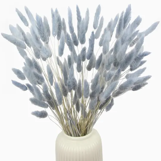 120pcs Dried Bunny Tails Flowers Lagurus Ovatus Tail Dried Flowers Pampas Grass Gray Natural Dried Floral Arrangement {1}