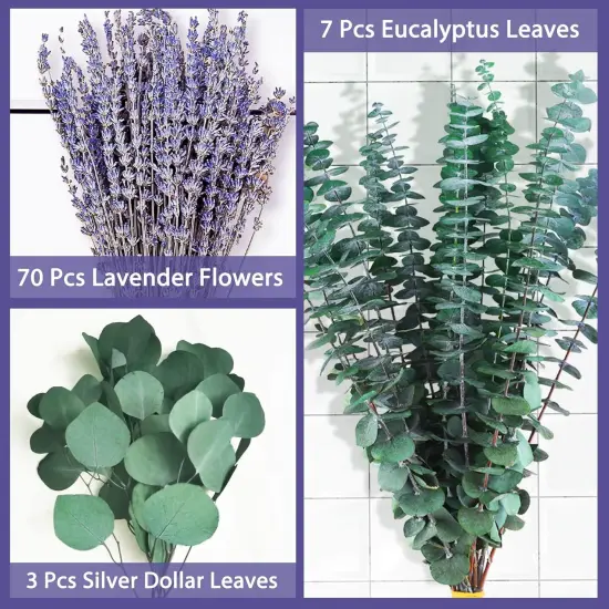 80 PCS Large Dried Preserved Eucalyptus Stems & Lavender Flowers Bundle for Shower, 17'' Real Fresh Hanging Silver Dollar Leaves, Aromatic Self-Care Shower Plants, Natural Fragrance, Home Decor {4}