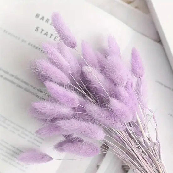 120pcs Light-Purple Bunny Tail Pampas Grass Dried Flowers for Vase Boho Flowers Dried Babys Breath Wedding Decor Dry Flowers for Vase (Purple 120 PCS) {1}