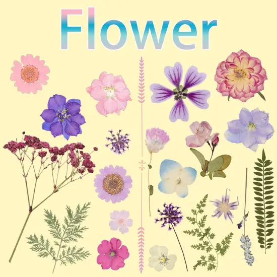 50Pcs Dried Pressed Flowers Resin Mould Real Pressed Flowers Natural Dry Leaves Bulk Mixed Colorful Daisy Herbs Kit with Tweezers for Scrapbooking DIY Candle Jewelry Crafts Making Nails(Purple) {2}