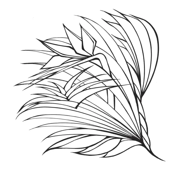 Creative Haven: Calm Coloring Book-Softcover {5}