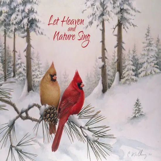 Christmas Blessings - Large Christmas Card Boxed Assortment with KJV Scripture {4}