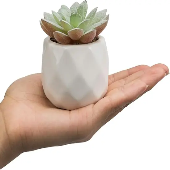 Mini Assorted Green Faux Succulent, Indoor Fake Plants in Geometric Ceramic Pots, Set of 6 {5}