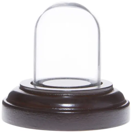 Plymor Miniature 1" x 1.5" Mini Glass Display Dome TINY Cloche Oak Veneer {2}