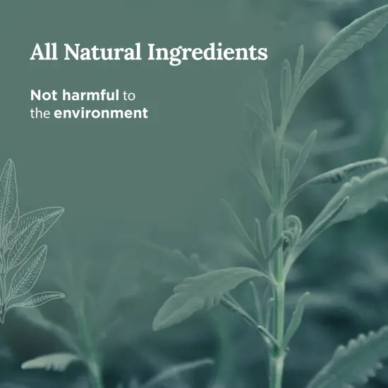 Magnificent 101 Long Lasting Affirmation Tin Candle with Sage & Clove Scented | 6 Oz - 30 Hour Burn | Made of Soy Wax for Abundance, Meditation, Manifestation | Manifesting More Money Than I Can Multicolor {3}