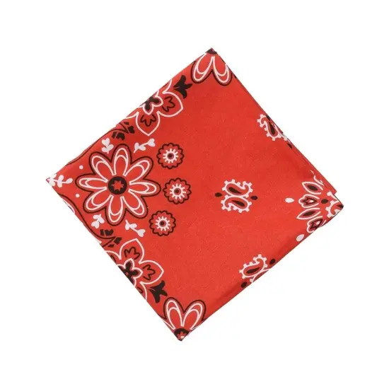 Train Engineer Adult Costume {6}