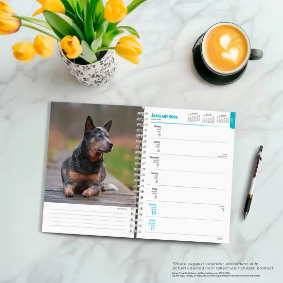 Blue Heelers | 2026 6x7.75 Inch Spiral-Bound Wire-O Weekly Engagement Planner Calendar | New Full-Color Image Every Week {5}