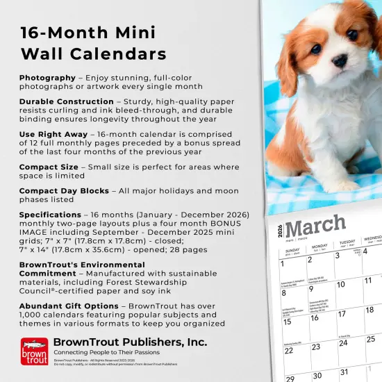 Cavalier King Charles Spaniel Puppies | 2026 7 x 14 Inch (Hanging) Monthly Mini Wall Calendar {6}