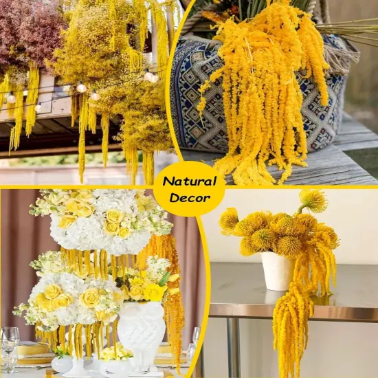 10Pcs Dried Amaranthus Hanging Flowers Garland Rustic Wall Hanging Decor {4}