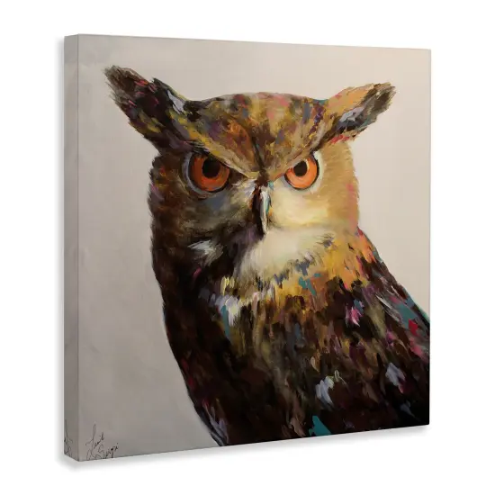 Stupell Industries Aria Owl Portrait Painting Canvas By Linda Sperruzzi {3}