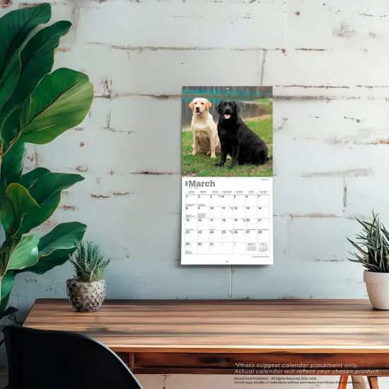 Labrador Retrievers | 2026 7 x 14 Inch (Hanging) Monthly Mini Wall Calendar {5}