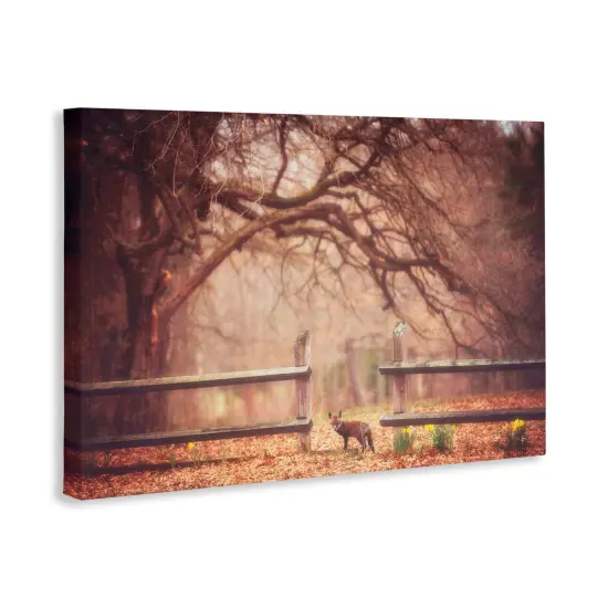 Stupell Industries Sly Guy Fox in Forest Canvas, design by Carrie Ann Grippo-Pike {3}