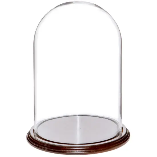 Plymor 8" x 12" Glass Display Dome Cloche Dark Mahogany Veneer {1}