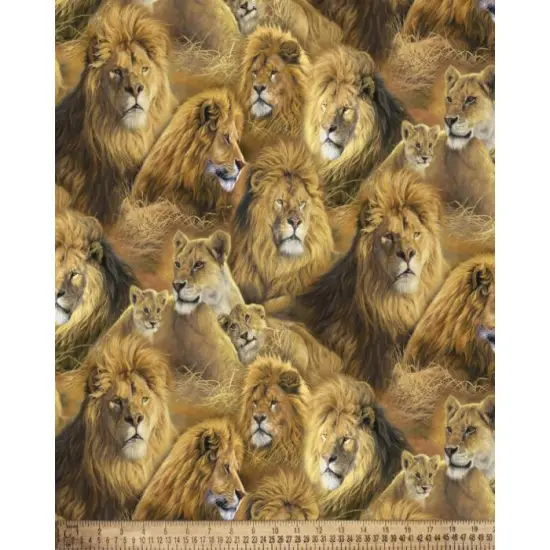 Lions Cotton Fabric | By the Yard | Sewing and Crafting | 44 inches wide {1}
