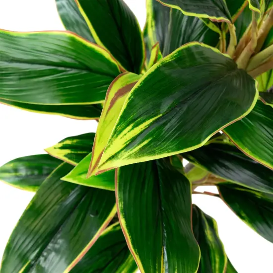 Northlight Real Touch&trade;️Artificial Potted Two Tone Dracaena Plant - 4.5' Green {6}