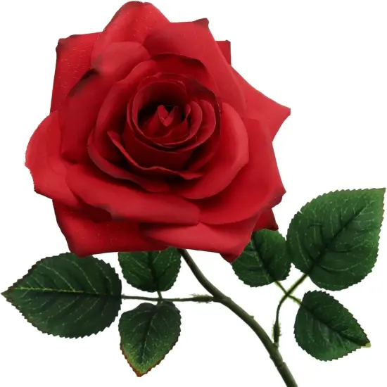 24-Pack: Red Open Rose Stems with Silk Foliage - Elegant Faux Floral for Bouquets, Weddings & Home Decor, Floral Home by Artificial Flowers {3}