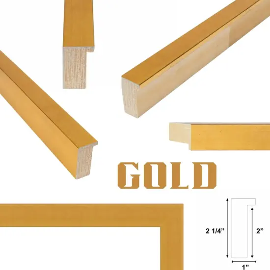 12x12 Shadow Box Frame | Deep Black Picture Frame 12 x 12 Display Case Gold {1}