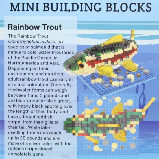 Mini Building Blocks - Rainbow Trout {3}
