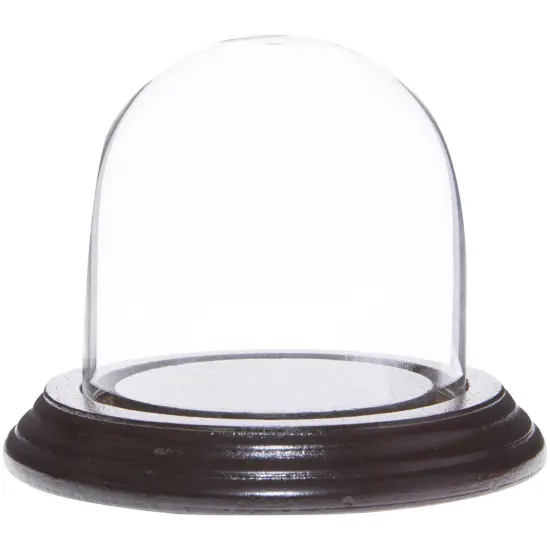 Plymor 3" x 3" Glass Display Dome Cloche Oak Veneer {2}