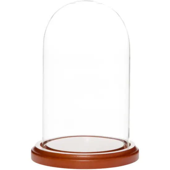 Plymor 4" x 7" Glass Display Dome Cloche Black Wood Veneer {2}