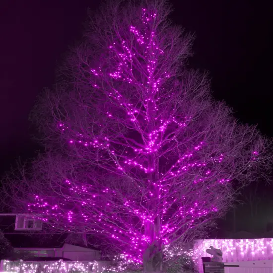 2 Pack Solar String Lights Outdoor, 200 LED Extra-Long 72FT Solar Powered Lights with 8 Lighting Modes, Waterproof Outdoor Lighting Decoration for Garden, Patio, Balcony, Xmas, Wedding, Party (Pink) {5}