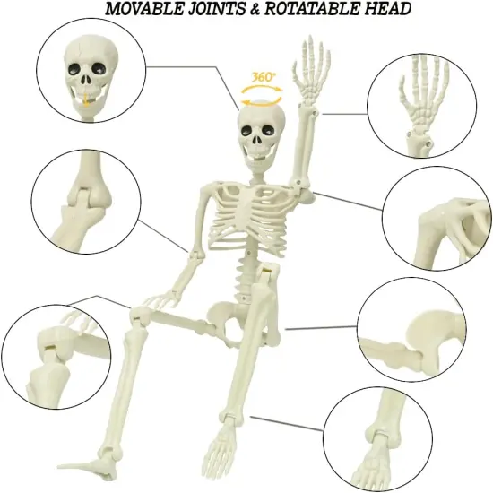 2PCS Halloween Posable Skeletons {2}