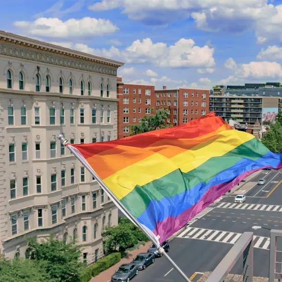 Rainbow Pride Flag Stripe 3x5 Ft, Bright Color & Fade Proof Longest Last Gay Pride Flag 3x5 for Outside, Double Stitched Polyester with Two Strong Brass Grommets Gay LGBT Flag for Outdoor, Wall and Bedroom (1 PCS) {5}