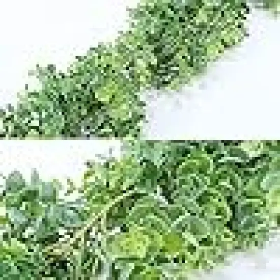 Faux Vines Hanging Boxwood Green Garland {4}