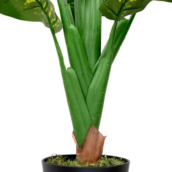 Northlight Artificial Variegated Dieffenbachia Leaf Potted Plant - 36" Green {7}