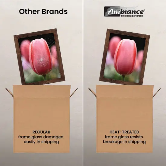 Ambiance Break-Resistant Picture Frame Glass and Backing, 20x24" Pack of 6, for Replacement or Empty Frames, 2mm Thick, Rounded Edges for Safe Handling, White Corrugated Cardboard {4}