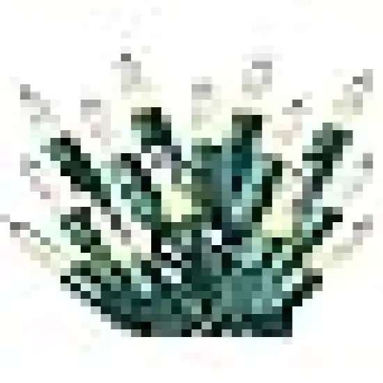 Holiday Fairy String Lights for Christmas Trees {6}