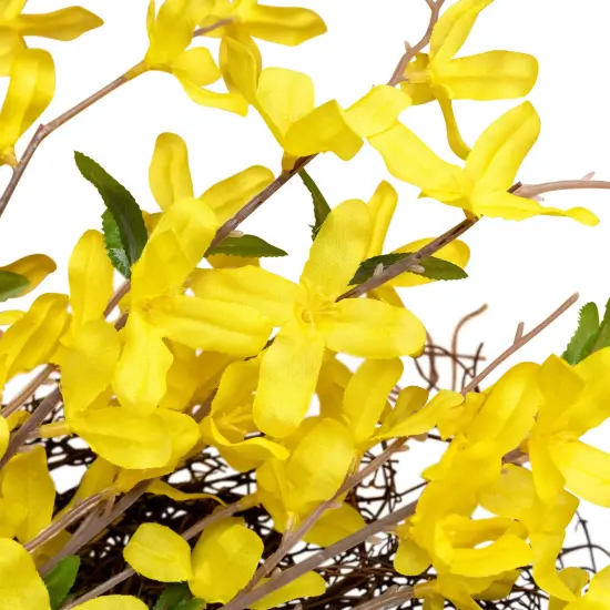 Northlight Forsythia and Grapevine Artificial Floral Wreath - Yellow - 24" {7}