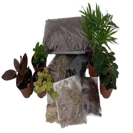 Hirt's Terrarium Kit with 5 Terrarium Plants in 2" Pots {3}
