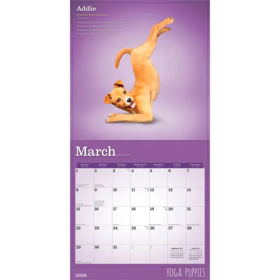 Yoga Puppies OFFICIAL | 2026 12 x 24 Inch (Hanging) Monthly Square Wall Calendar {3}