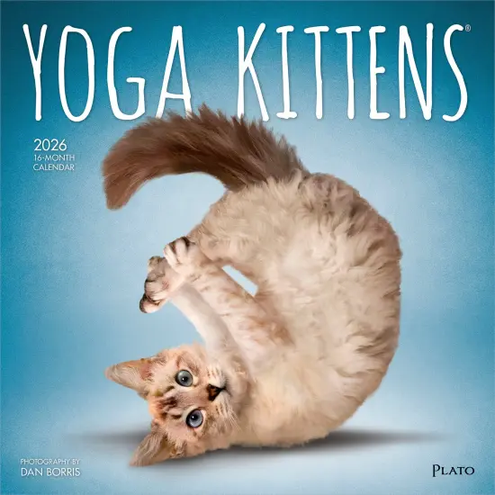 Yoga Kittens OFFICIAL | 2026 12 x 24 Inch (Hanging) Monthly Square Wall Calendar {1}