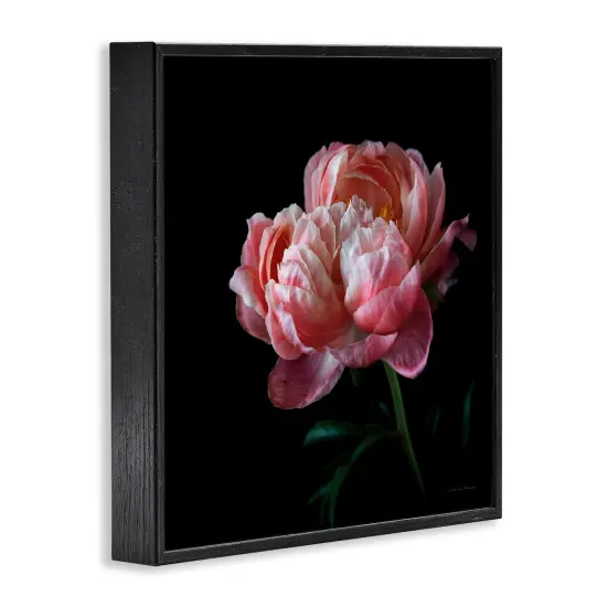 Stupell Industries Dark Rose Photography Framed Giclee Art Black Frame {3}