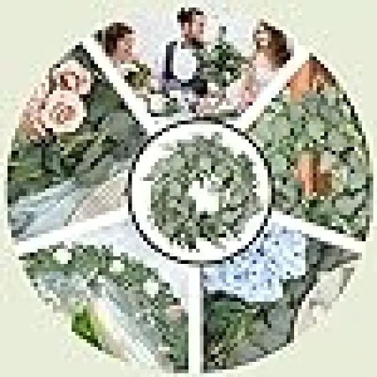 Swag Faux Silver Dollar and Willow Leaves Garland {5}