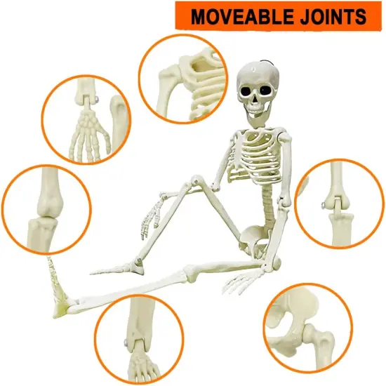 5Pcs Hanging Skeleton Halloween Decorations - 16 Inches {4}