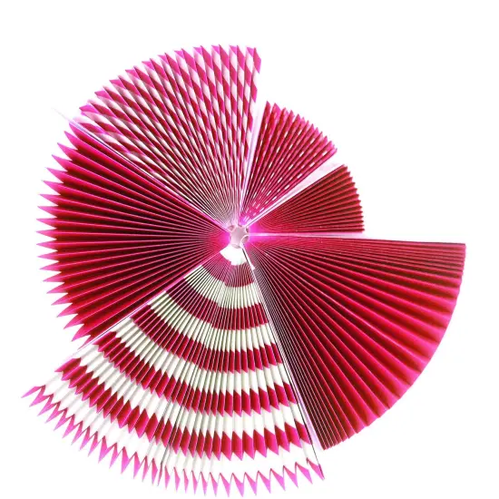 Hot Pink and Black Birthday Party Hanging Paper Fans Decorations - Women Girls Birthday Party Wedding Bridal Shower Bachelorette Carnival Party Ceiling Hangings Photo Booth Backdrops Decorations, 12pc {2}