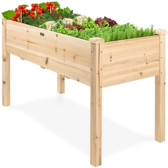 Elevated Garden Bed for Easy Gardening with Drainage Hole {4}