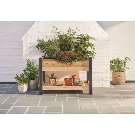 Natural Cedar Raised Garden Bed with Shelf 2x4ft Elevated Planter {2}