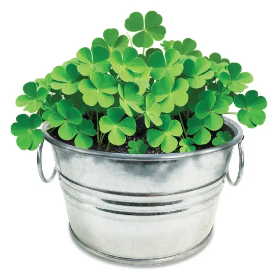 Collections Etc Grow Your Own Lucky 4 Leaf Clover Plant Kit with Metal Pot {4}