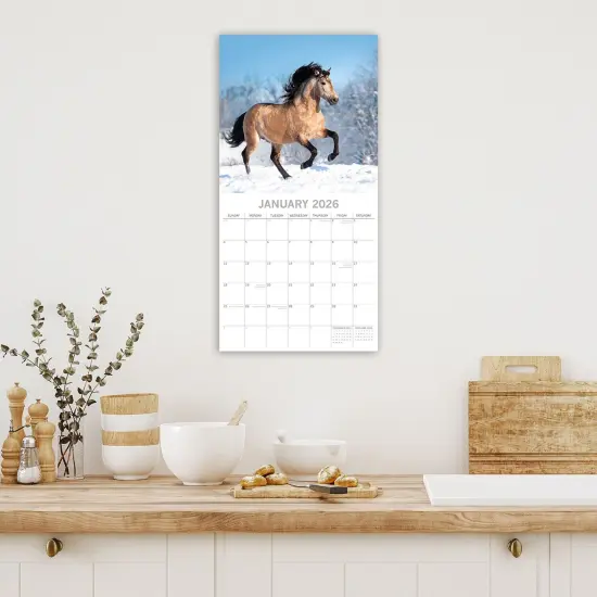 The Gifted Stationary 2026 Square Wall Calendar, Horses, 16-Month Animals Theme Hanging Calendar with 180 Reminder Stickers, Month Planner for Home, or Creative Spaces, 12x12 In Multicolor {2}