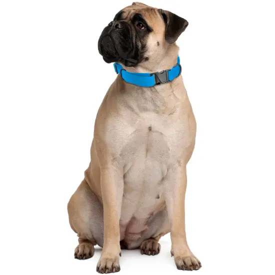 MiMu Large Silicone Dog Collar - Blue 25.5in Stylish Dog Collar with Clasp Buckle {7}