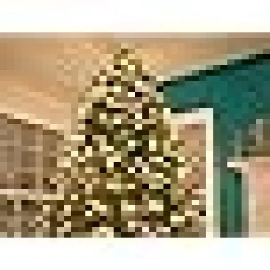 Incandescent Mini String Light {5}