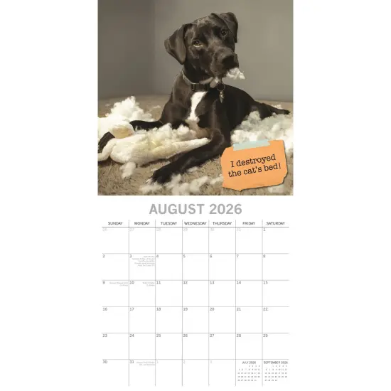 The Gifted Stationary 2026 Square Wall Calendar, Dog Shaming, 16-Month Humor Theme Hanging Calendar with 180 Reminder Stickers, Month Planner for Home, or Creative Spaces, 12x12 In Multicolor {3}